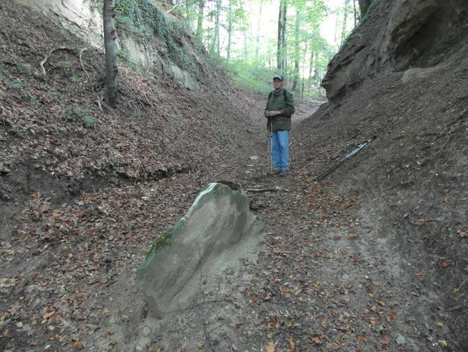 Une espéce de "menhir" dans le chemin creux 'Leuenhohle' au nord-est de Burgdorf BE