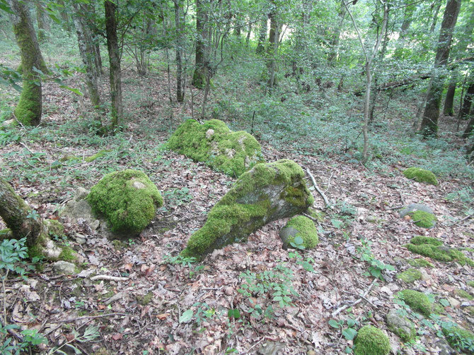 Le modeste 'dolmen' Suscévaz 01