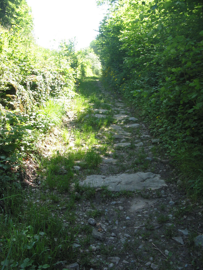 Bout de chemin creux pavé qui mène au Mont Pèlerin/Chardonne VD
