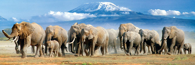 100 gratis Kenya incontri