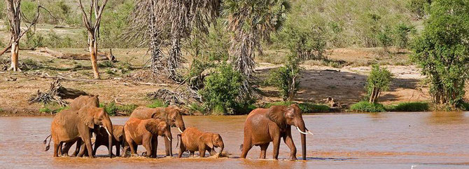 Galana River - Tsavo East