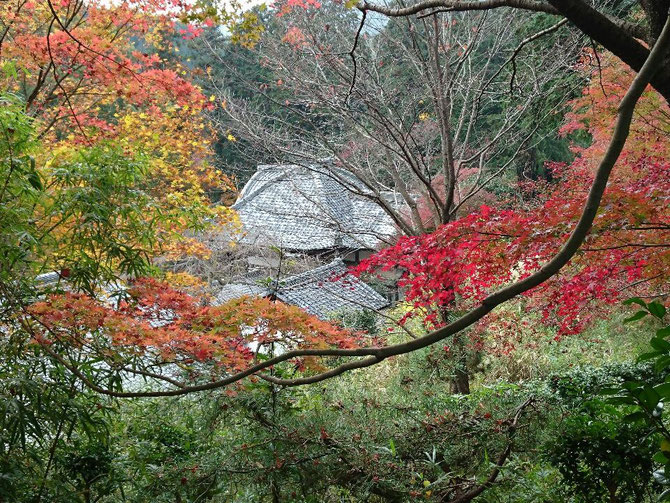 十輪寺(なりひら寺)