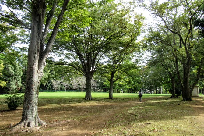 御成公園