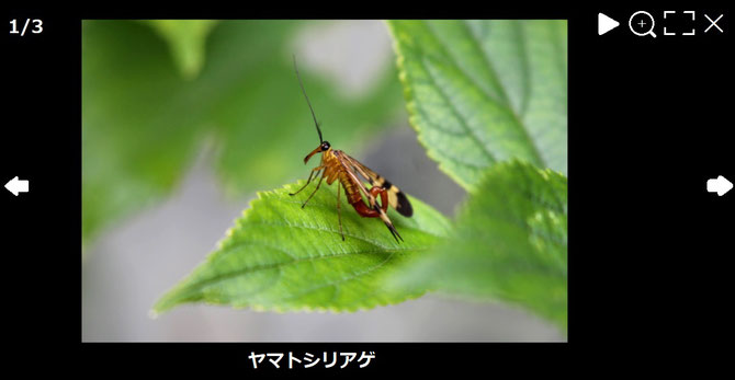 作図したもので実際とは異なります。