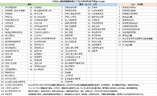 六方水の道観察会下見時のみどころ