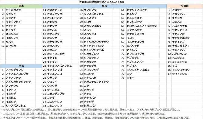 佐倉太田自然観察会見どころ