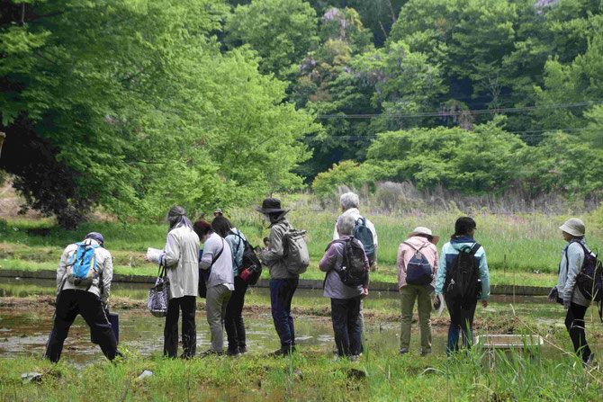たろやまの郷【栗山】25.4.26