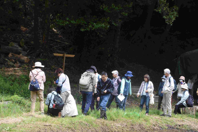 谷津田にて【栗山】