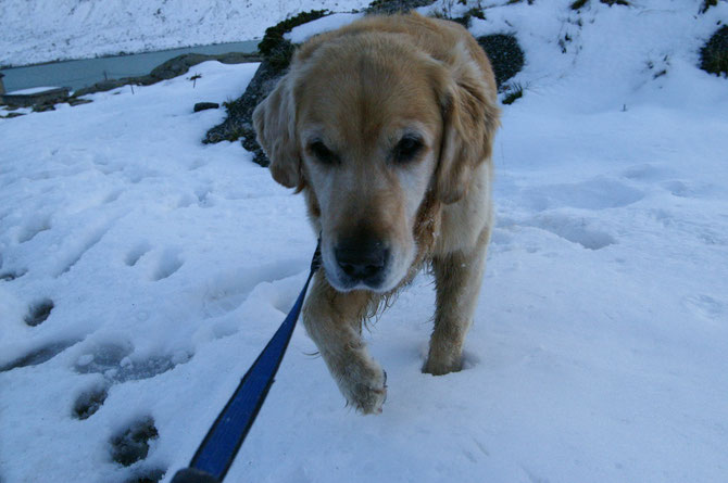 Arco wattet im Schnee