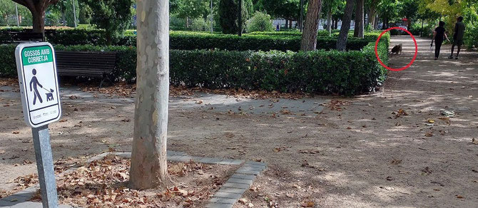 Falta de respeto al no respetar las señales de “Perros con cadena y Prohibido Perros” en los parques y jardines de València.