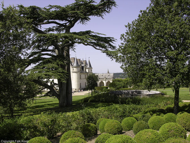 Bild: Blick vom Park auf Château d´Amboise