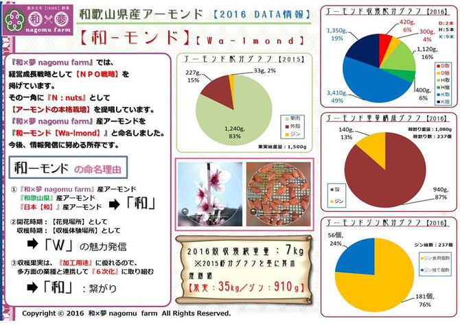 『和ーモンド【almond】』データ分析 情報開示 和×夢 nagomu farm