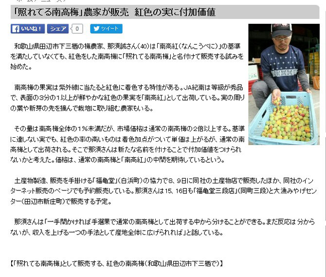 「照れてる南高梅」農家が販売 紅色の実に付加価値