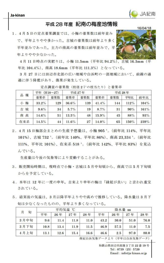 ＪＡ紀南梅産地情報【4/18】 出典：ＪＡ紀南ホームページ