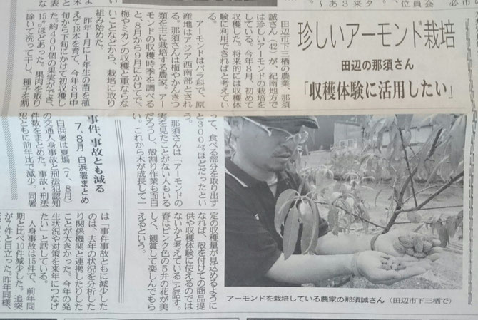 珍しいアーモンド栽培 田辺の那須さん「収穫体験に活用したい」