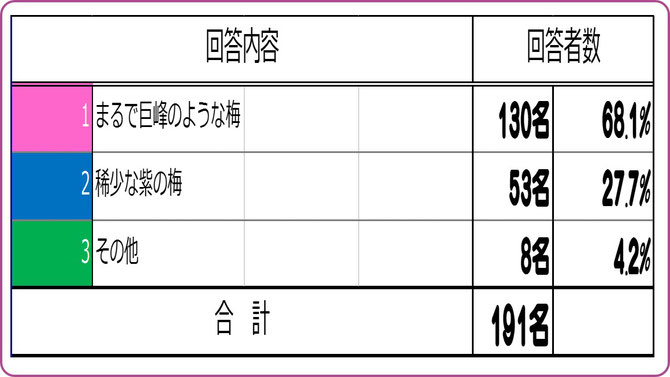 大阪樟蔭学祭アンケート【2015B】　ミスなでしこキャッチフレーズは？　集計結果