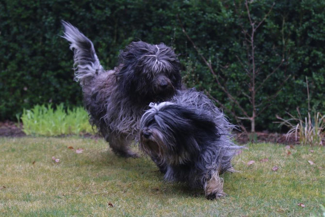 Caatje und Tobi