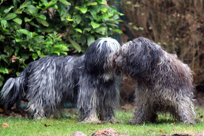 Caatje und Tobi