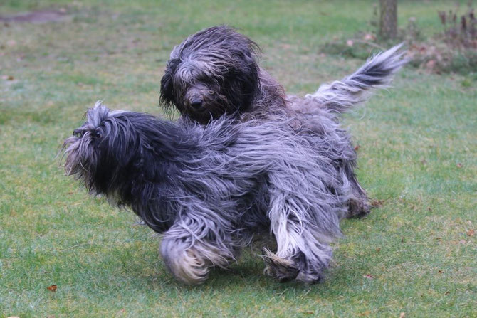 Caatje und Tobi