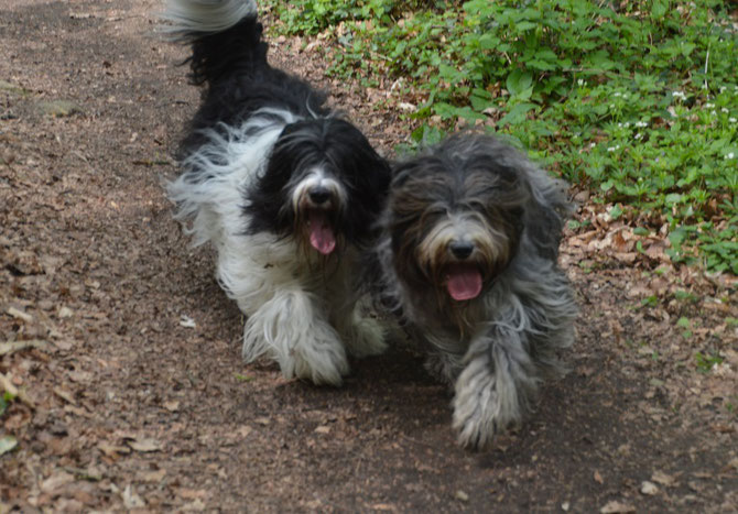 links Arthur von Walsede, rechts Anna von Walsede