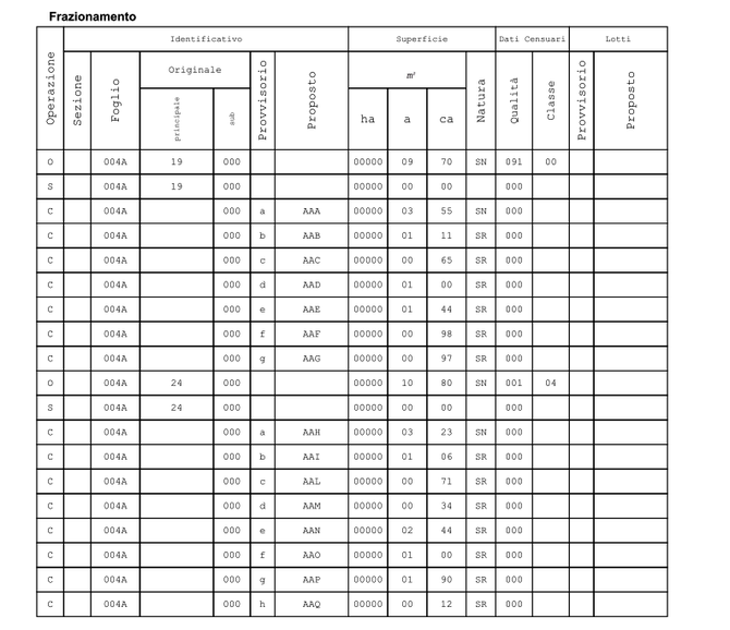 Compilazione di modello censuario