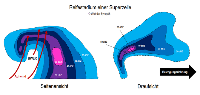 Abb. 3 | Einfache Darstellung einer Superzelle auf dem Radarbild im Reifestadium. Der stärker werdende Niederschlag wickelt sich um die Mesozyklone. Es bildet es sich ein Hook Echo (rechts) und die WER wird begrenzt (BWER). | Quelle: Welt der Synoptik 