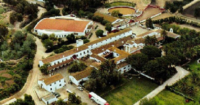 GANADERIA "TORRESTRELLA". LA PLUS BELLE FINCA D'ESPAGNE, FONDEE PAR DON ALVARO DOMECQ Y DIEZ EN 1951.