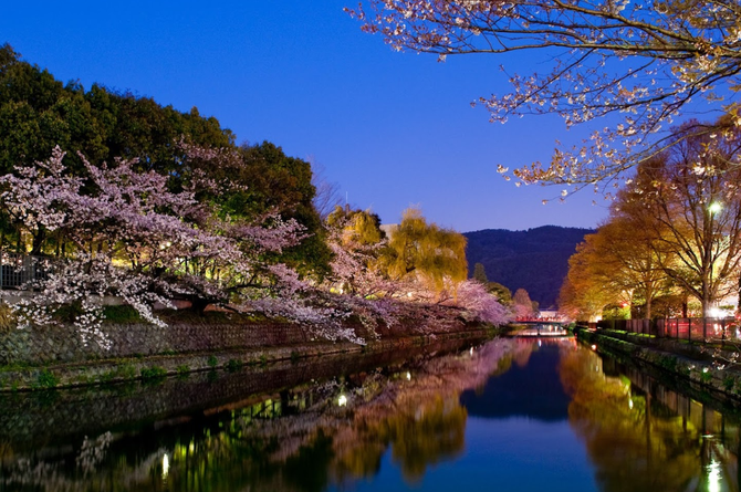 KYOTO. LE CANAL AU PRINTEMPS