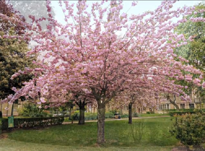 PRINTEMPS AU PARC MONTSOURIS CITE UNIVERSITAIRE. JADIS ET NAGUERE. SI LOINTAIN ET SI PROCHE.