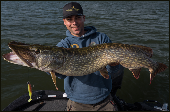 Meterhecht gefangen mit dem Reel Shad von Reel Busy Fishing