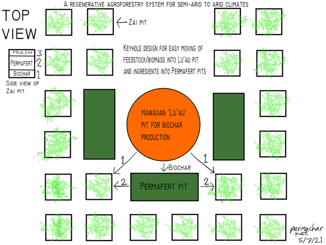 Here's a regenerative agroforestry system for semi-arid to arid climates integrating different agricultural technologies