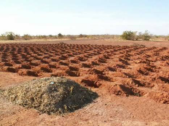 A compost heap (foreground) with 'Geometrical replication' of Zai pits (background) in the Sahel- there are many possibilities of designs