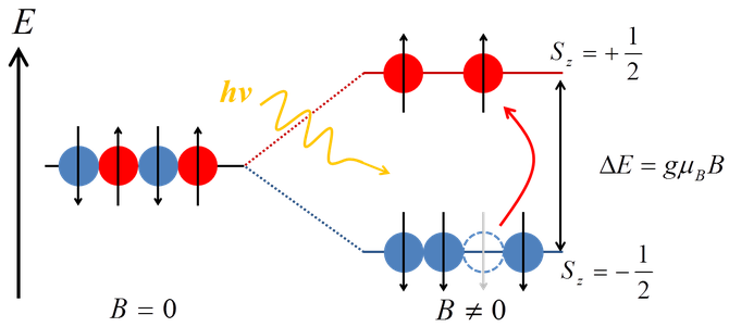 ESR 電子スピン共鳴炭酸ガスレーザーGunn発振器BWOFabry-Perot interferometer : ファブリペロー干渉計