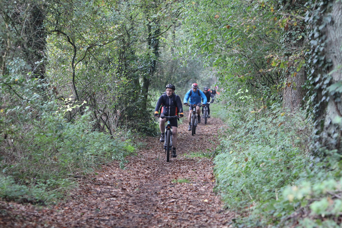 Fahrt durch den Herbstwald – so soll es wieder sein.
