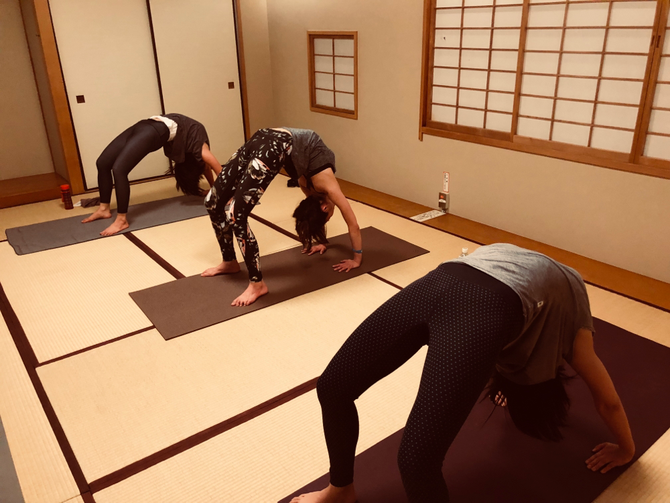 ウルドゥヴァ・ダヌラアーサナ アシュタンガヨガ ゴウダケンジ ヨガ yoga よが ヒョニ 合田賢二 ごうだけんじ godakenji