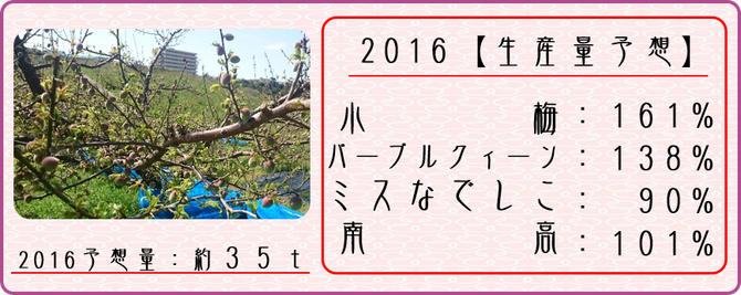 2016梅生産量予想 【2016.4.5】 和×夢 nagomu farm