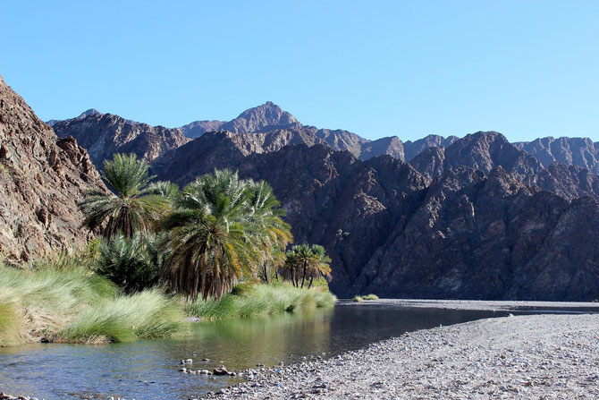 Lagerplatzsuche nie mühselig