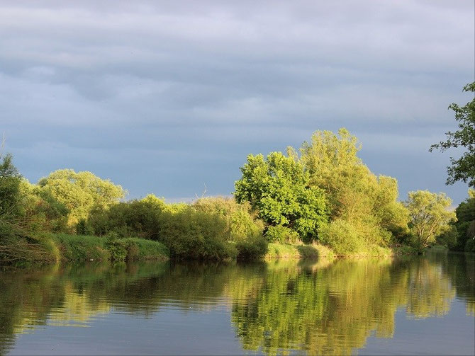 Campingfluss Bamberg