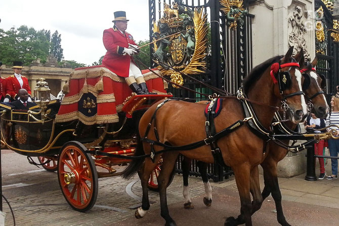 12 Juin 2015.  LONDRES .Buckhingham. L'Ambassadeur du Togo Son Exc. Yackoley Kokou JOHNSON