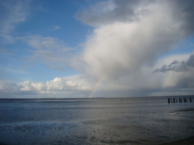 Blick von Amrum auf das Watt Richtung Föhr