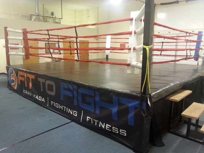 Rückblick Krav Maga mit Ryan Hoover im Fit to Fight Worldwide