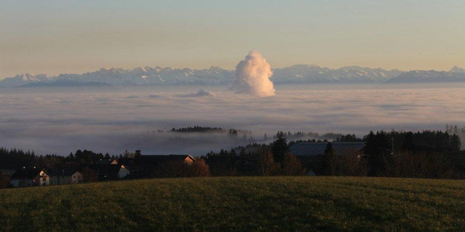 Auf dem Weg nach Schluchsee... Über dem Nebel... Blick auf die Schweizer Berge