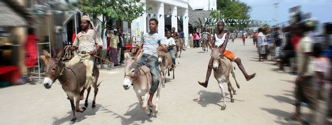 Lamu