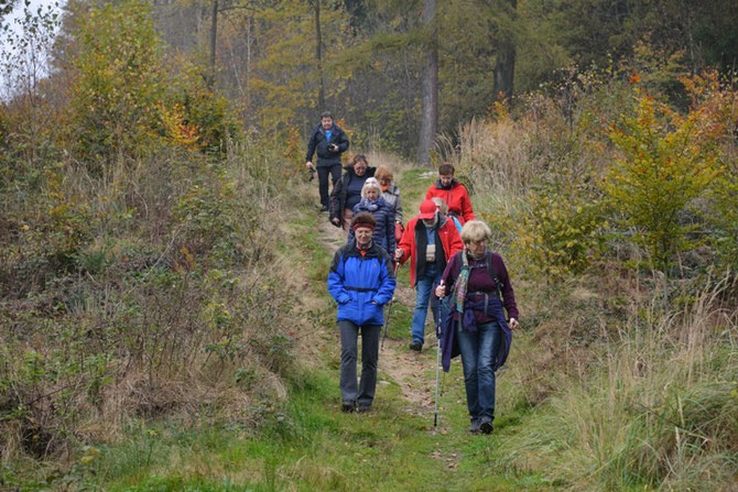 Abstieg zum Gasthof Daxleitner