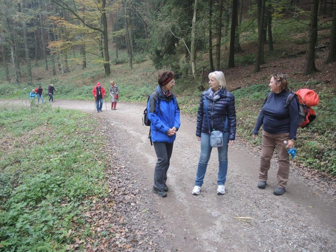 Aufstieg zum Gipfel