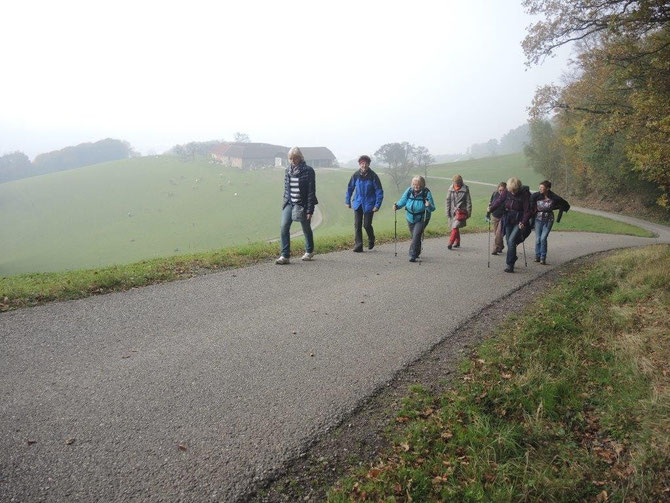 Blick auf den Stoettnerhof