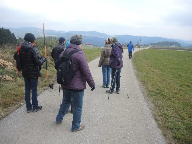 Blick ins Mühlviertler Kernland