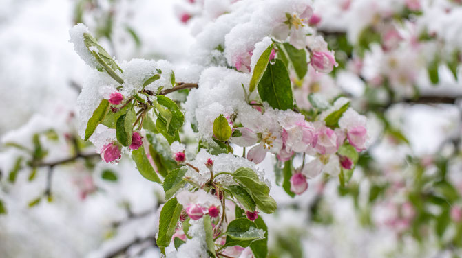 Quelle: WetterOnline