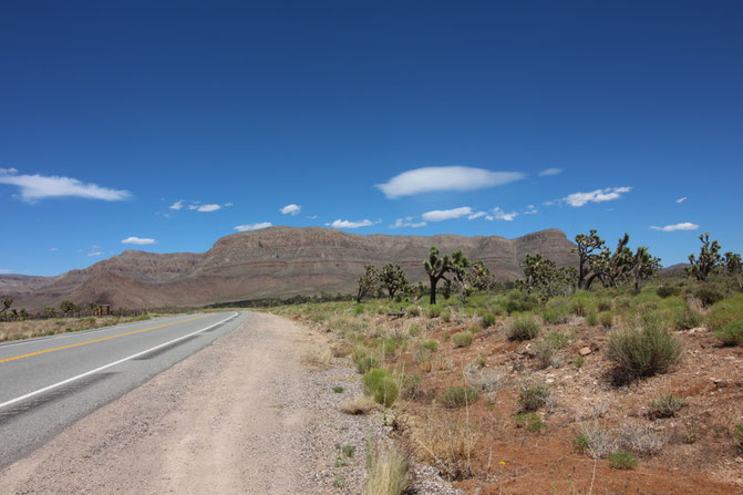 Weltreise USA Amerika Westküste Road trip Nevada Grand Canyon Arizona Las Vegas Reiseblog Natur