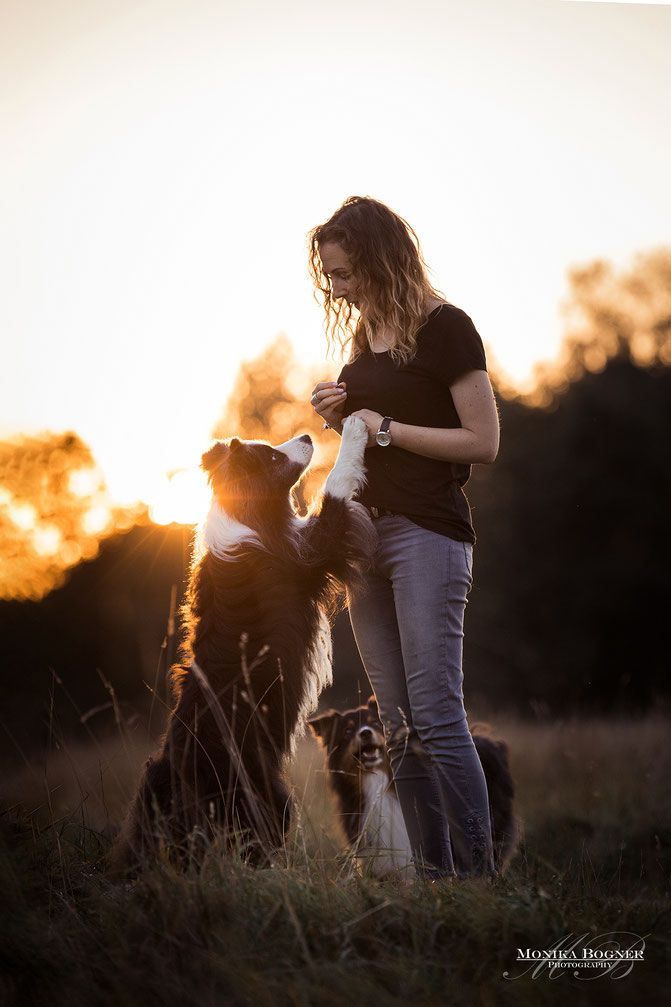 australian shepherd, Hundefotografie mit Mensch und Hund, Fotoshooting mit Hund, Bayern, Monika Bogner Photography
